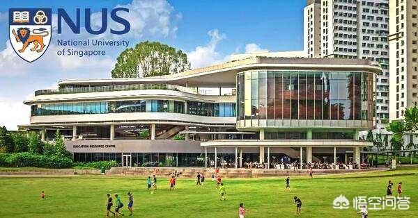 学生要怎样努力才能考上新加坡国立大学？