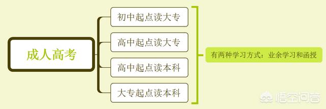 目前我国上大学有哪些途径。求详细解答谢谢，该怎么办？