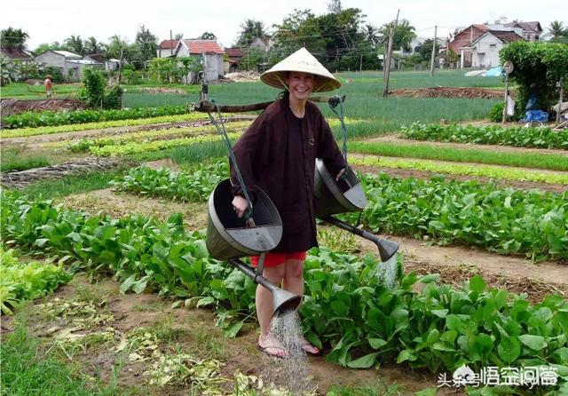 中国人在越南生活安全感如何？