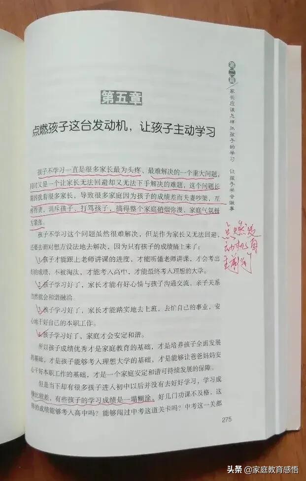 今年可能会有一半初中生进不了高中，他们该怎么办？