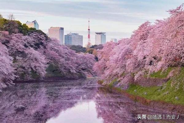 怎样申请去日本留学？