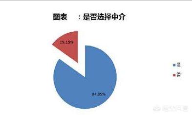 通过中介和纯靠自己申请留学，各自的利弊是什么？