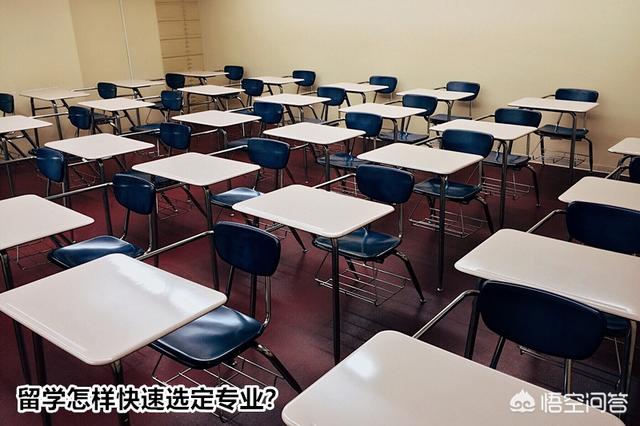 2019高考后留学新西兰，专业太多“很上火”，怎