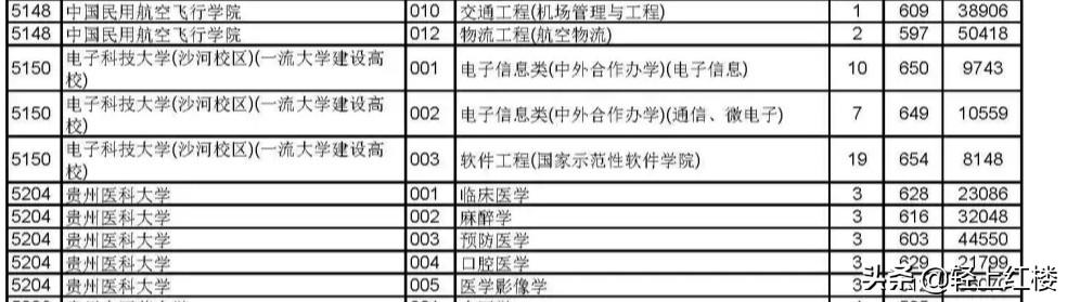 2020考生，估分上了电子科技大学的中外合办，但怕父母无法负担，也担忧学校是否适合自己怎么办？