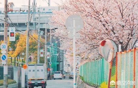 今年27岁高中学历，想知道我这种条件去申请日本留学签证通过几率大吗？